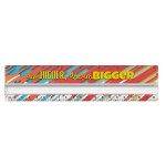 8" Magnifying Ruler 2 8" Magnifying Ruler 2