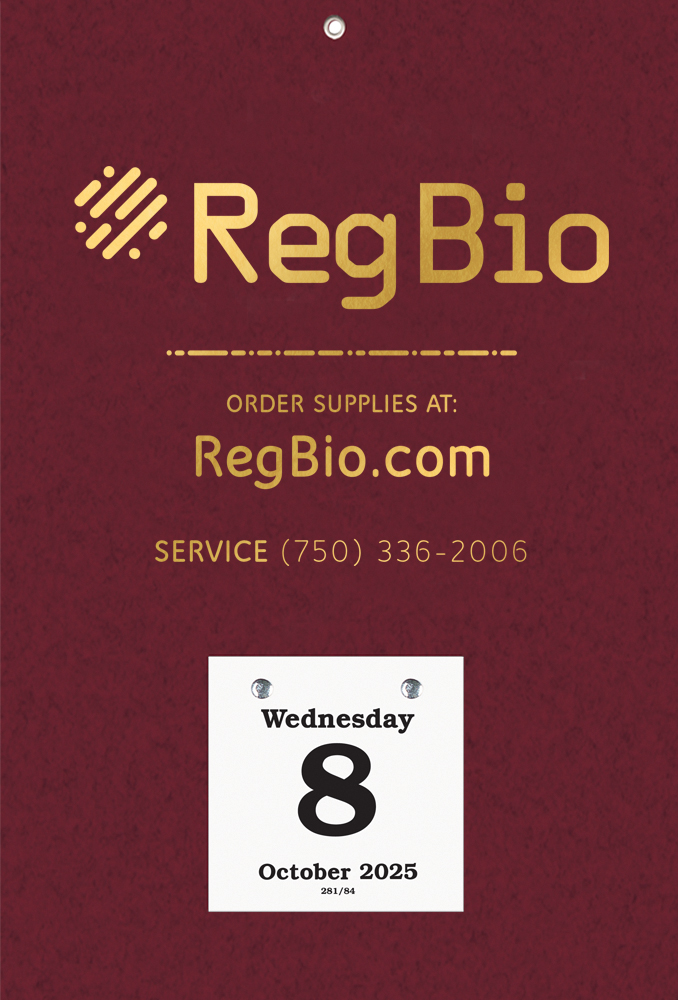 Foil Stamped Daily Date Calendar - 8x12 Small Pad 1 Foil Stamped Daily Date Calendar - 8x12 Small Pad 1