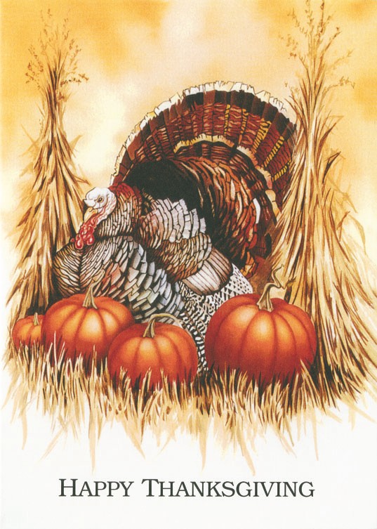 Classic Thanksgiving Turkey & Pumpkin Holiday Greeting Card 1 Classic Thanksgiving Turkey & Pumpkin Holiday Greeting Card 1
