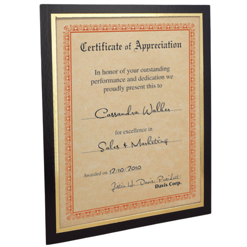 Mat Certificate Frame for 8"x10" Certificate 1 Mat Certificate Frame for 8"x10" Certificate 1