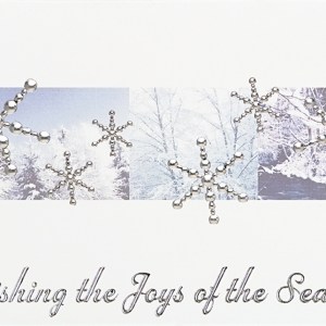 Classic-Silver Snowflakes Holiday Greeting Card 1 Classic-Silver Snowflakes Holiday Greeting Card 1