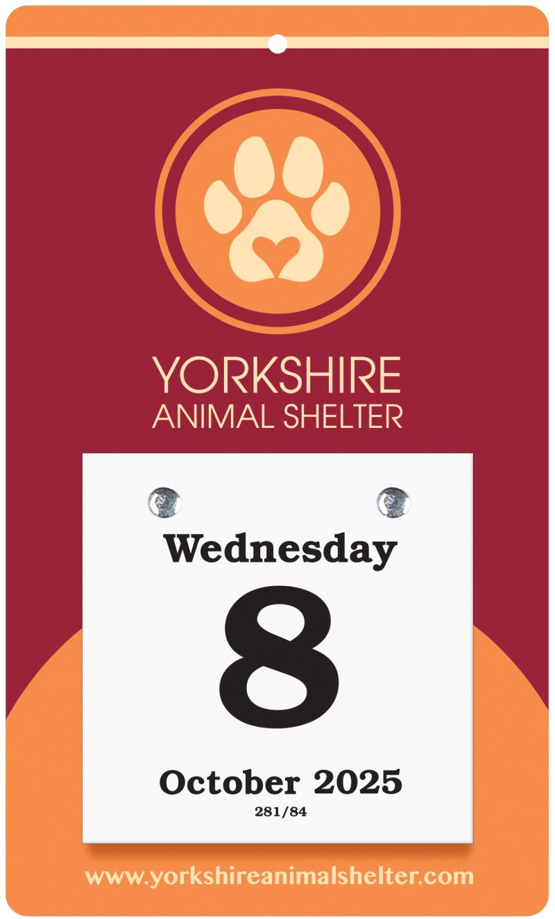 Daily Date Value Trimmed Calendars 1 Daily Date Value Trimmed Calendars 1