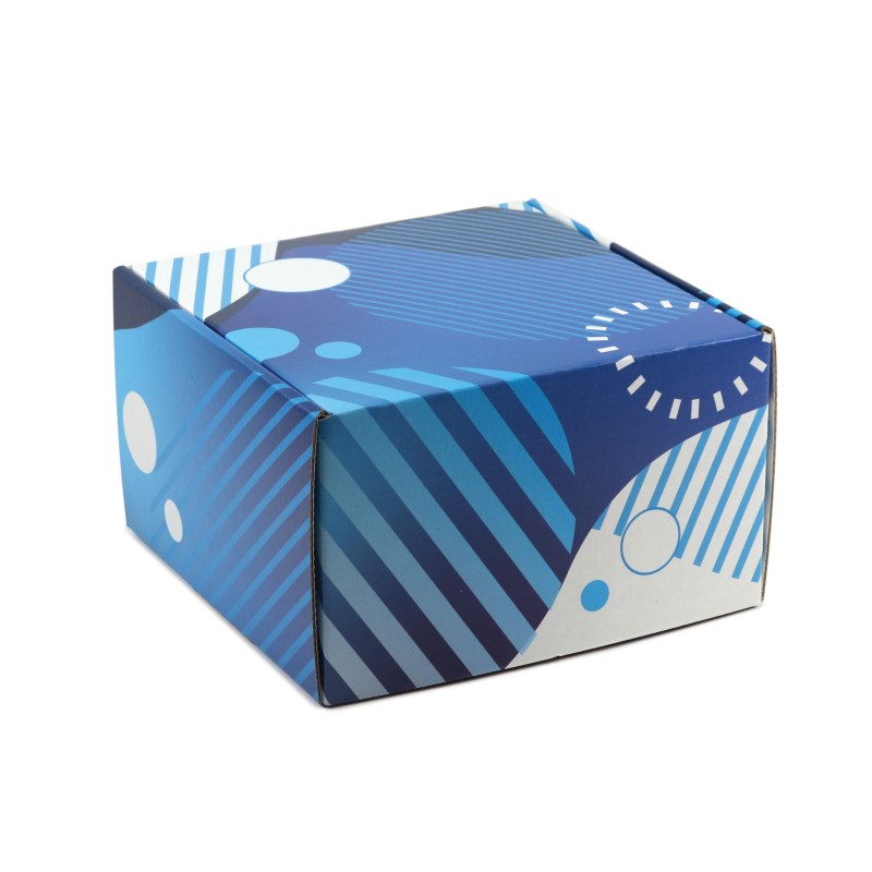 Corrugated Box - 8" x 8" x 5" 1 Corrugated Box - 8" x 8" x 5" 1