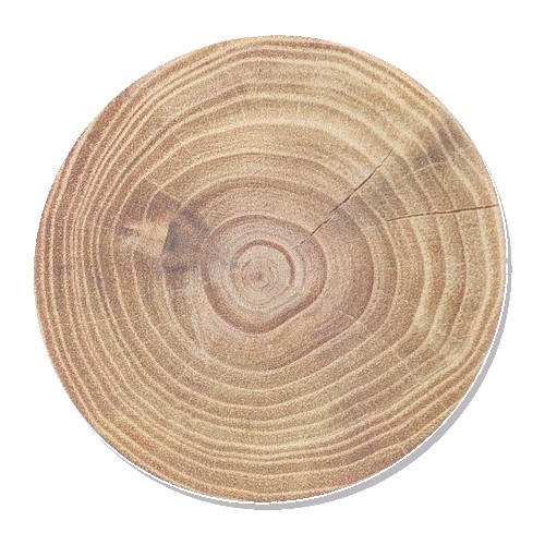 Absorbent Stone Coasters w/Upscale Digital Bkgnds