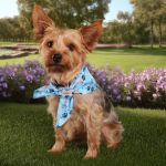 Sublimated Bandana - RPET - White Sublimated Bandana - RPET - White
