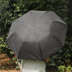 48" Arc Inverted Umbrella 2 48" Arc Inverted Umbrella 2