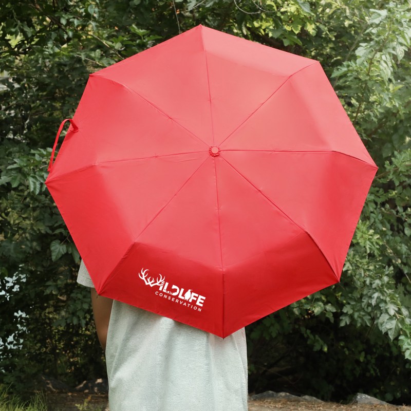 42" Arc Automatic Folding Umbrella 1 42" Arc Automatic Folding Umbrella 1
