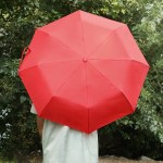 42" Arc Automatic Folding Umbrella 2 42" Arc Automatic Folding Umbrella 2
