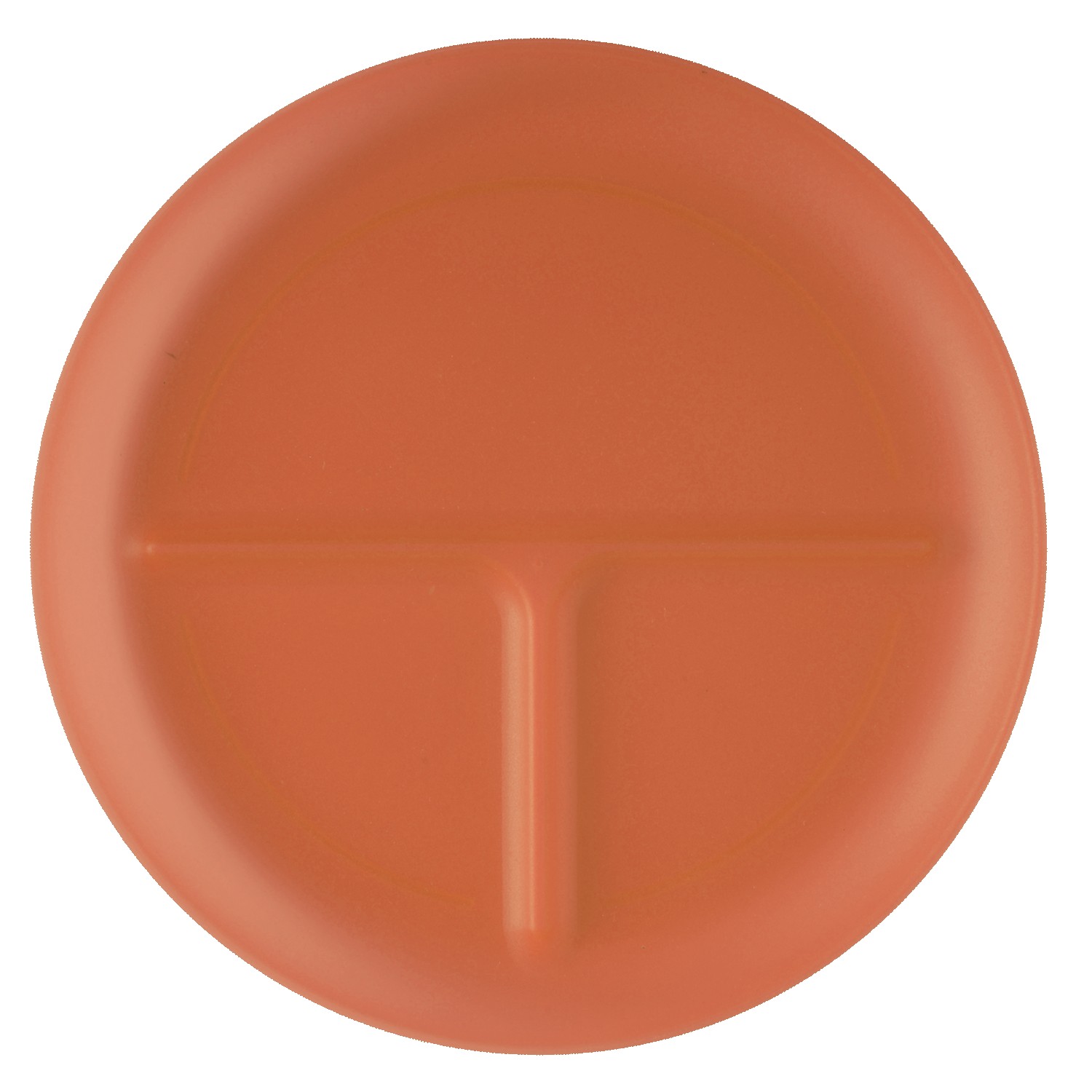 Portion Plate 1