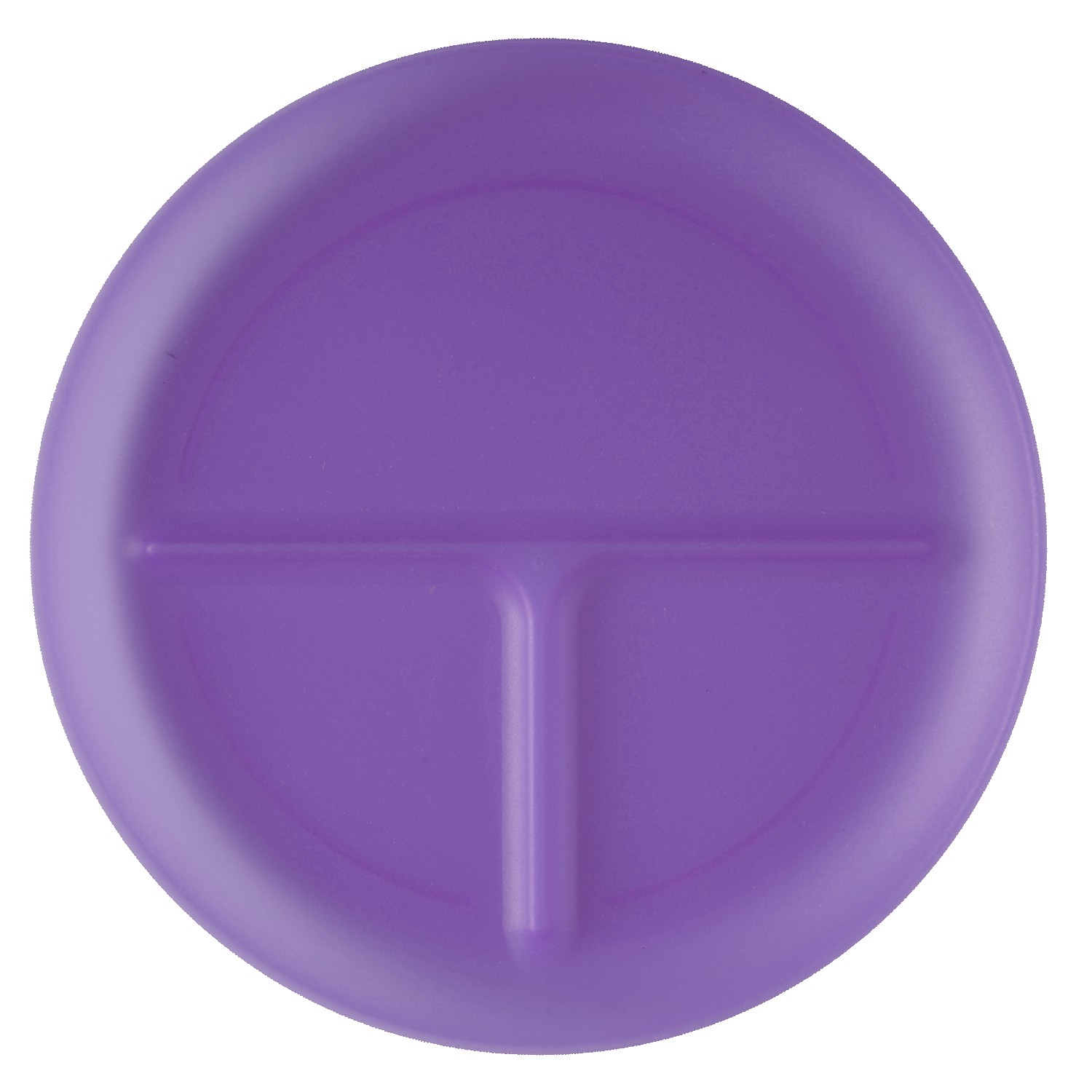Portion Plate 1