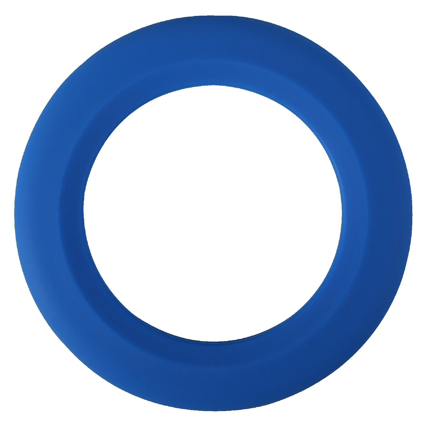 Silicone Wrist Disc 1