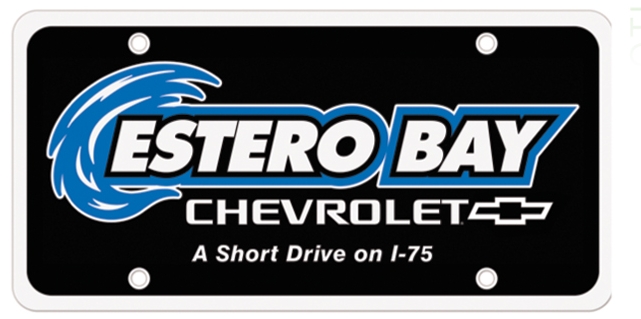 License Plate Insert 1 License Plate Insert 1