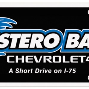 License Plate Insert 1 License Plate Insert 1