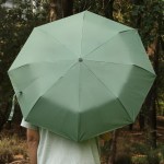 40'' Arc Gem Wooden Handle Automatic Umbrella 2 40'' Arc Gem Wooden Handle Automatic Umbrella 2