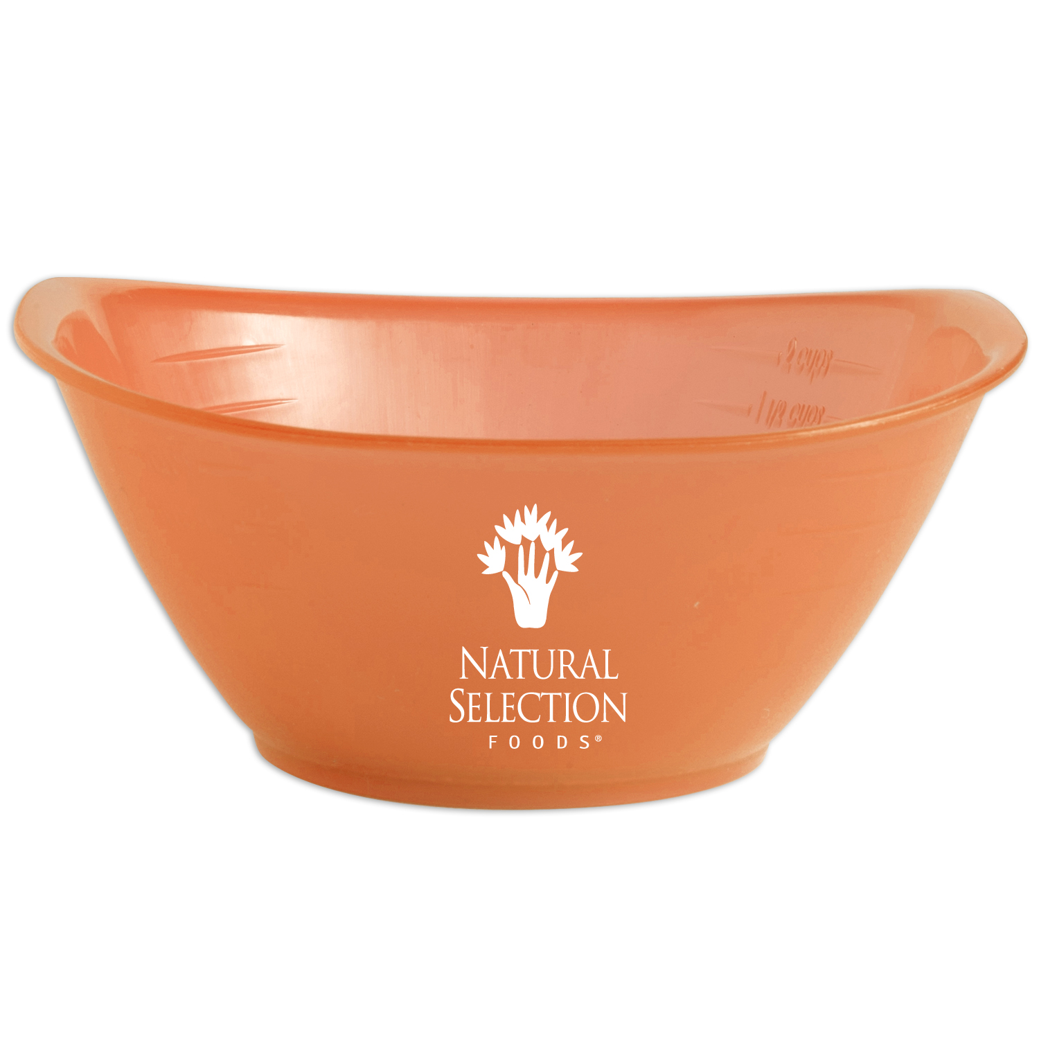 Portion Bowl 1