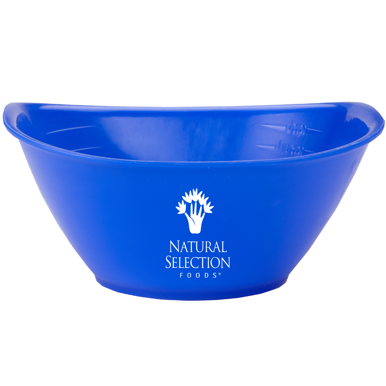 Portion Bowl 1