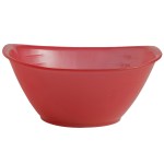 Portion Bowl - Translucent Red Portion Bowl - Translucent Red