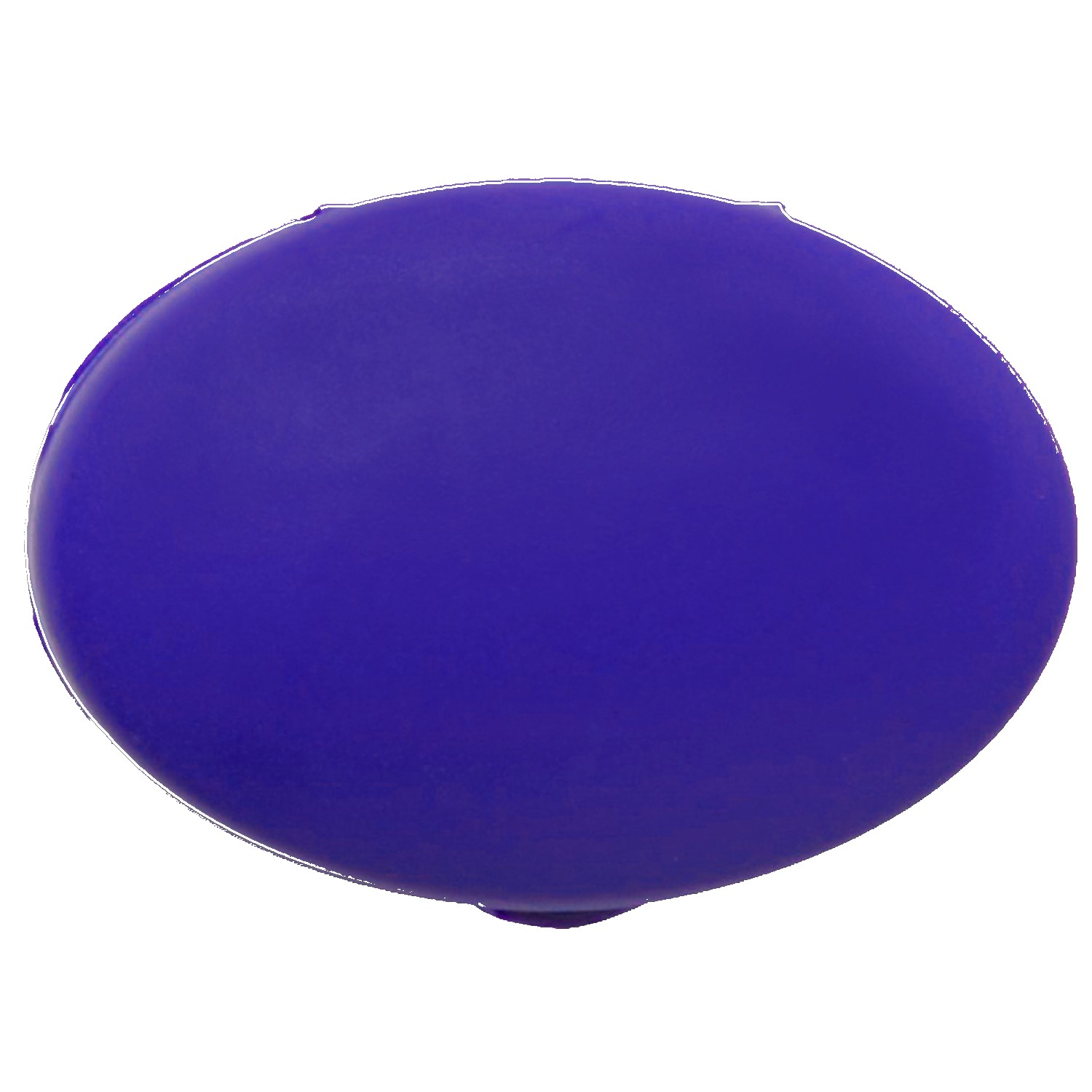 Oval Pill Case 1