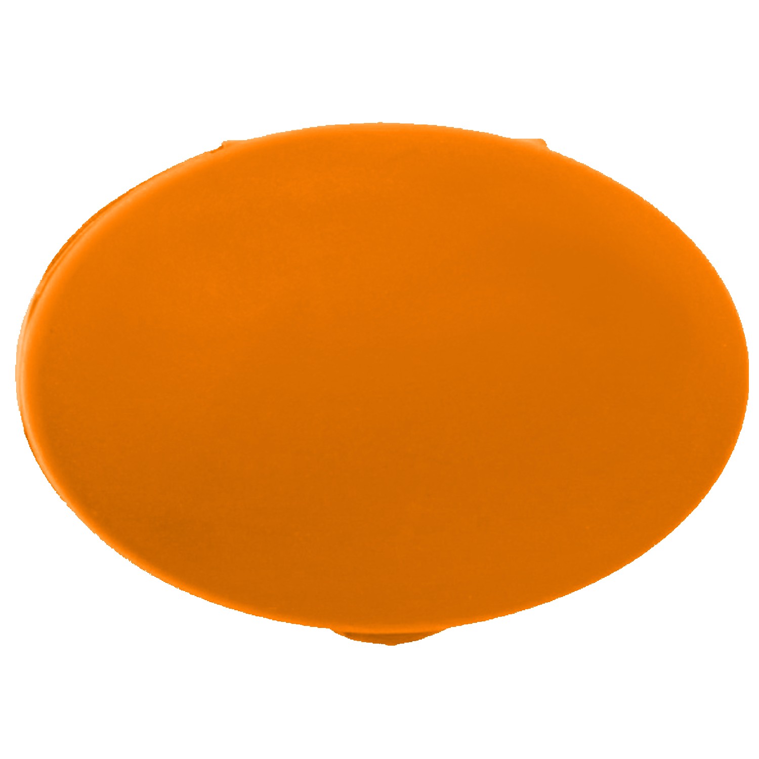Oval Pill Case 1