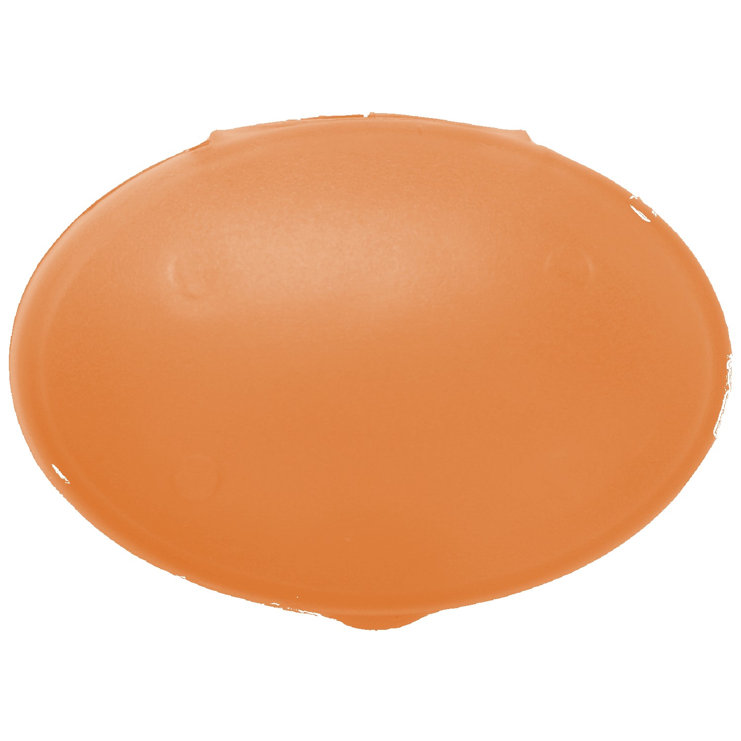 Oval Pill Case 1