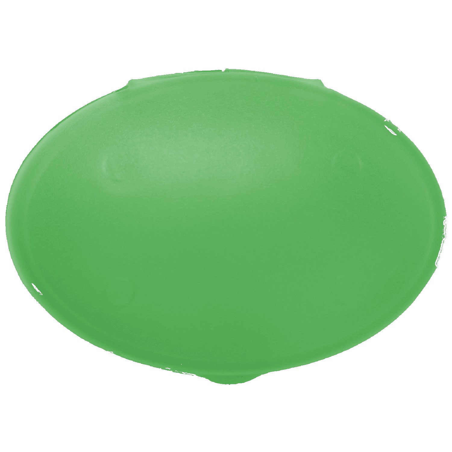 Oval Pill Case 1