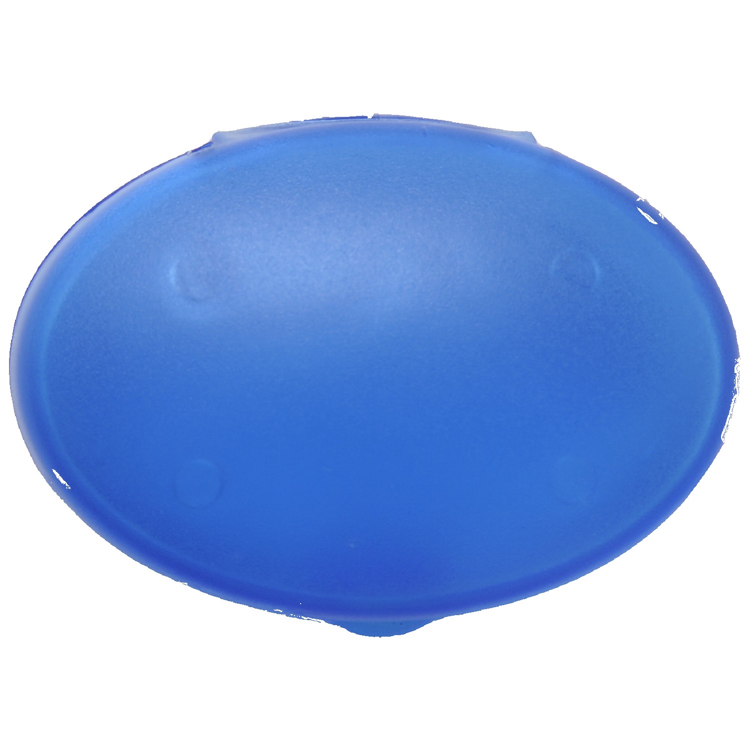 Oval Pill Case 1