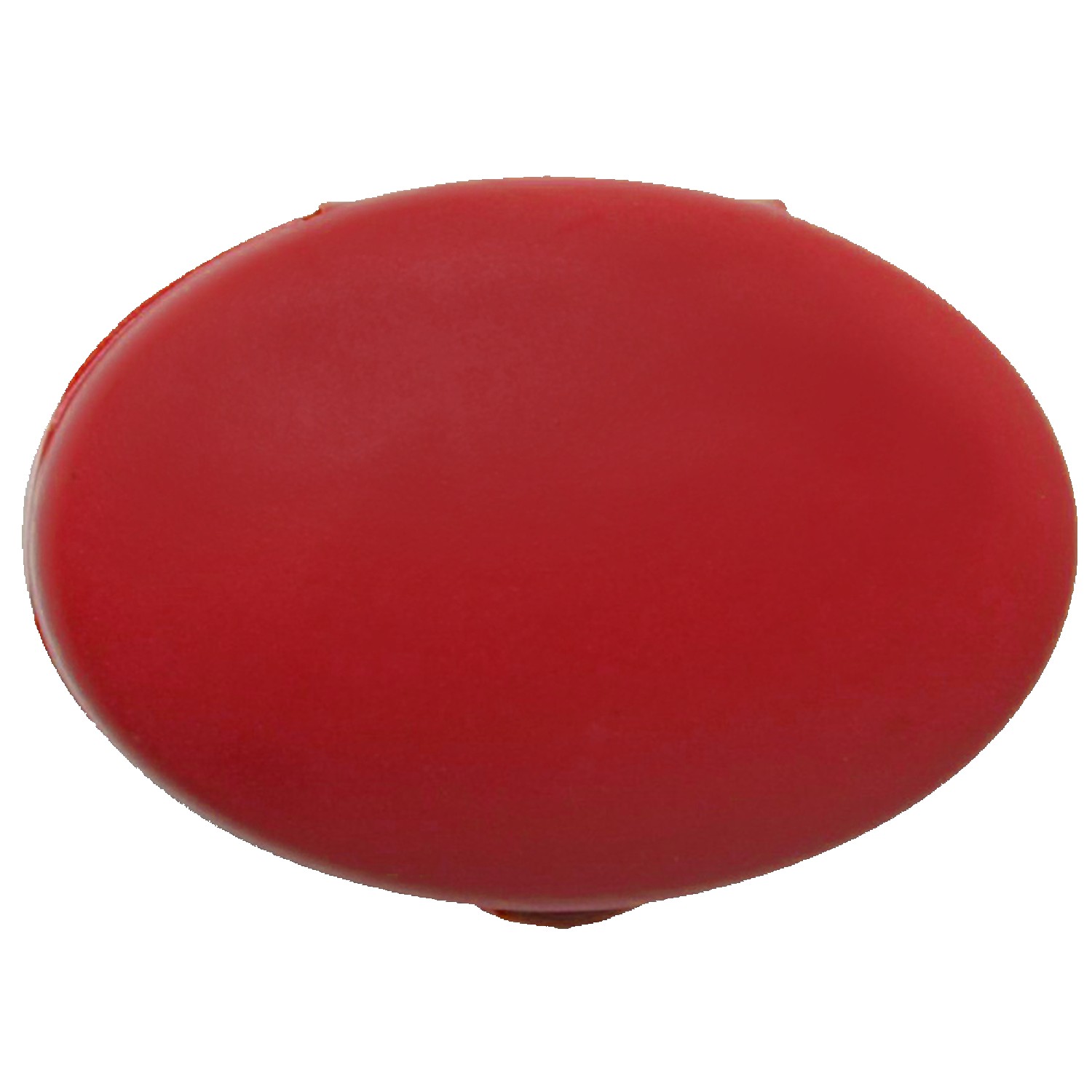 Oval Pill Case 1