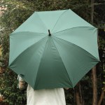 48" Arc Umbrella w/Hook Handle 2 48" Arc Umbrella w/Hook Handle 2