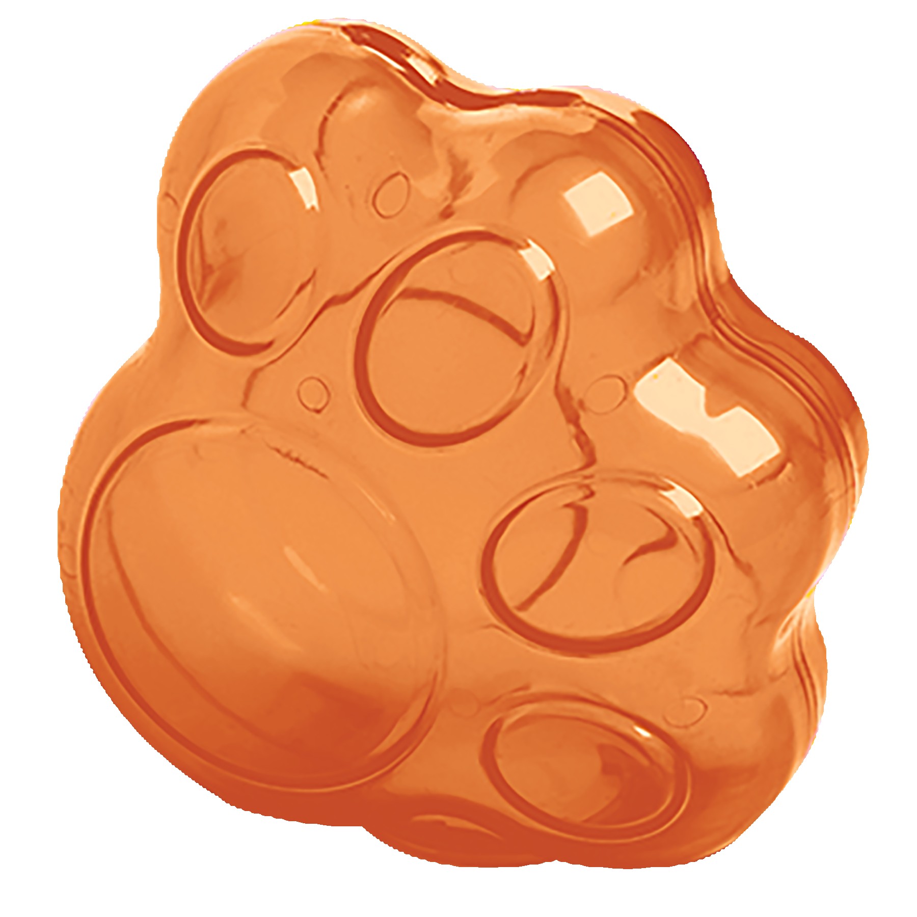 Paw Bank 1