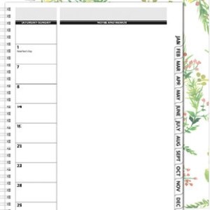 TheDirector™ ClearView Monthly Planner w/Chip Back (8.5"x11") 1 TheDirector™ ClearView Monthly Planner w/Chip Back (8.5"x11") 1