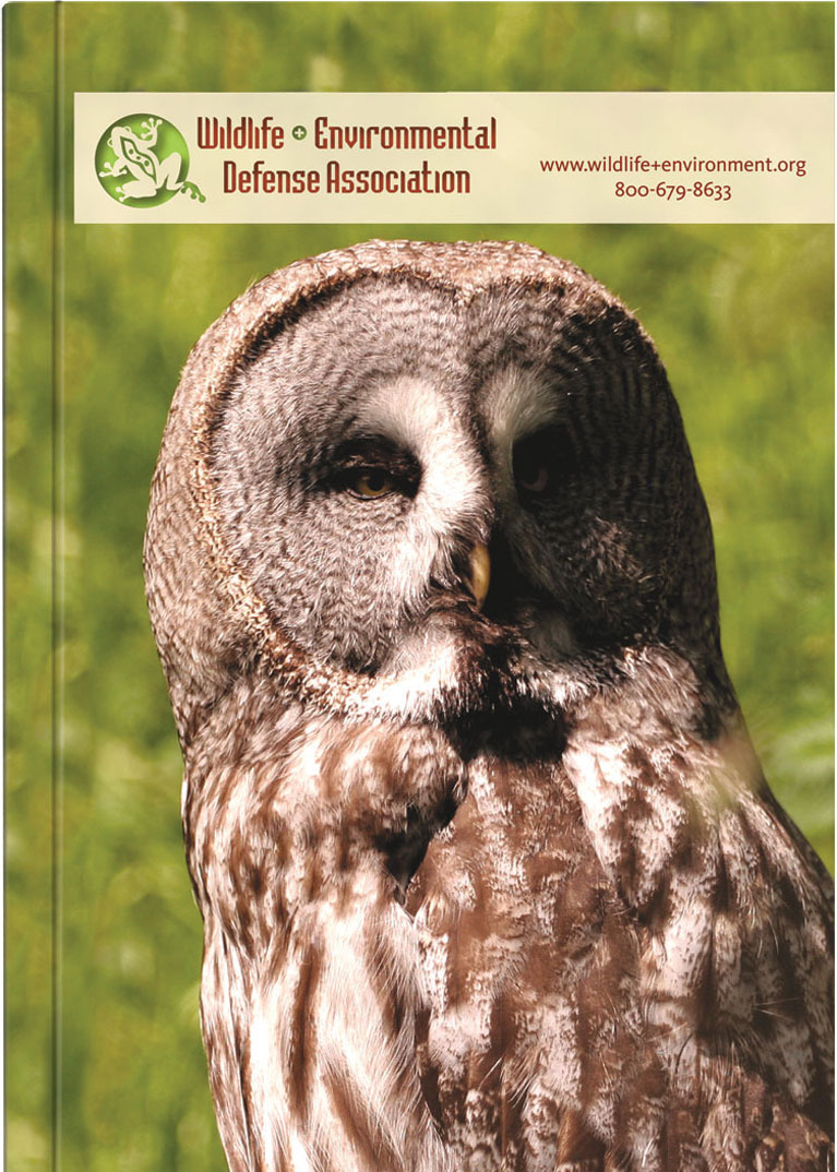 Medium ImageFlex Weekly PerfectPlanners™ (5"x7") 1 Medium ImageFlex Weekly PerfectPlanners™ (5"x7") 1