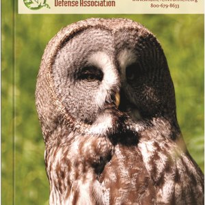 Medium ImageFlex Weekly PerfectPlanners™ (5"x7") 1 Medium ImageFlex Weekly PerfectPlanners™ (5"x7") 1