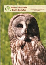 Medium ImageFlex Weekly PerfectPlanners™ (5"x7") 1 Medium ImageFlex Weekly PerfectPlanners™ (5"x7") 1