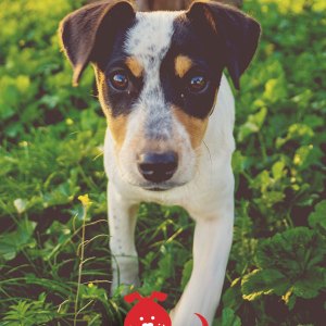 Medium TucNotes™ w/Full-Color Wraparound (4"x6") 1 Medium TucNotes™ w/Full-Color Wraparound (4"x6") 1