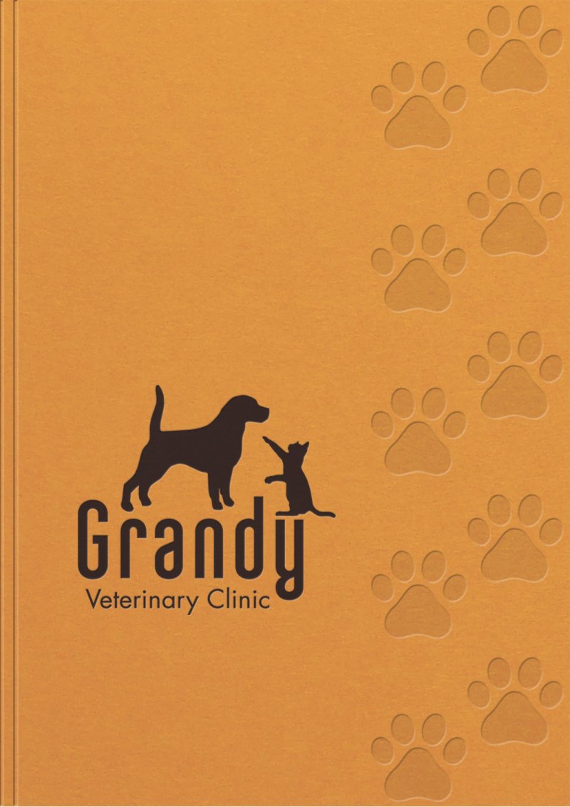 ClassicFlex PerfectBook™ Medium NoteBook (7"x10") 1 ClassicFlex PerfectBook™ Medium NoteBook (7"x10") 1