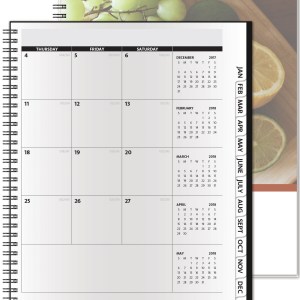 TheAnalyst™ ClearView™ Monthly Planner (8.5"x11") 1 TheAnalyst™ ClearView™ Monthly Planner (8.5"x11") 1