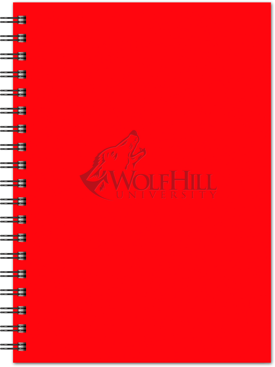 Molena NoteBook (7" x 10" ) 1