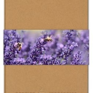 Natural Ambassador Journal w/ Full Color GraphicWrap (5.5"x8.5") 1 Natural Ambassador Journal w/ Full Color GraphicWrap (5.5"x8.5") 1