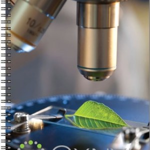 Large FlexPlanner™ Organizer w/Full Color Cover (7"x10") 1 Large FlexPlanner™ Organizer w/Full Color Cover (7"x10") 1