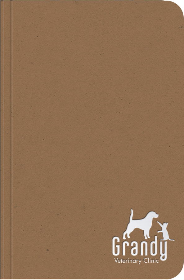 BrightNotes™ ValueLine JotterPad (4"x6") 1