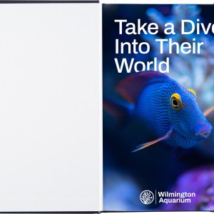 FSC® Mix Bound Journal w/Full-Color Tip-In (5.5"x8.5") 1 FSC® Mix Bound Journal w/Full-Color Tip-In (5.5"x8.5") 1