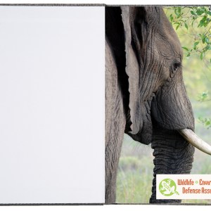 Reclaim Recycled Journal w/ Tip-In (5.5"x8.5") 1 Reclaim Recycled Journal w/ Tip-In (5.5"x8.5") 1