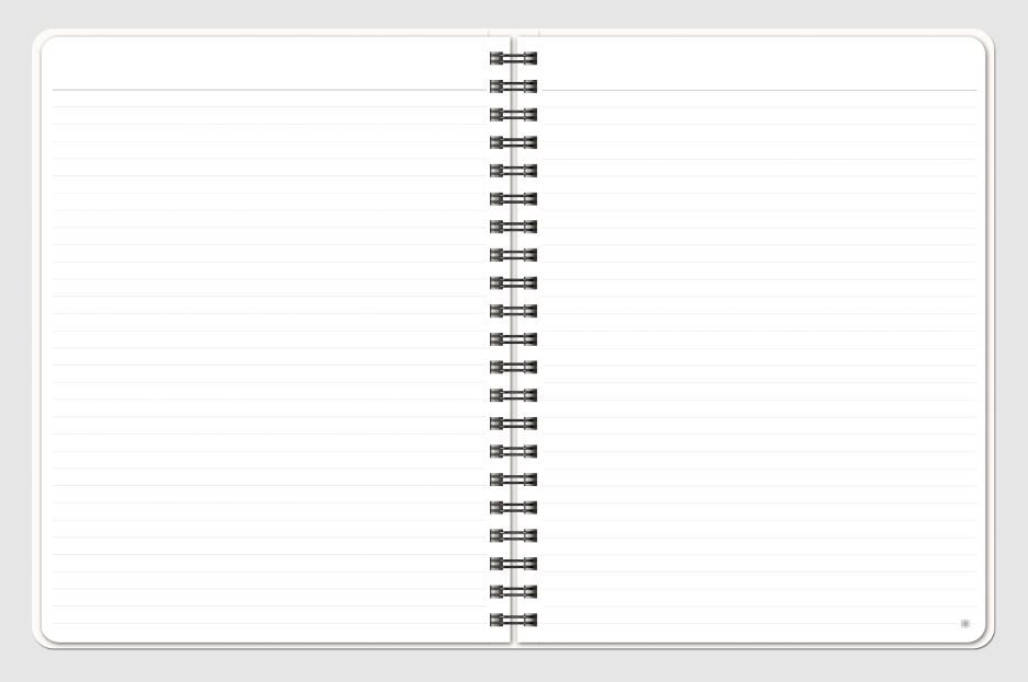 Prestige FlexNotes (8.5"x11") 1