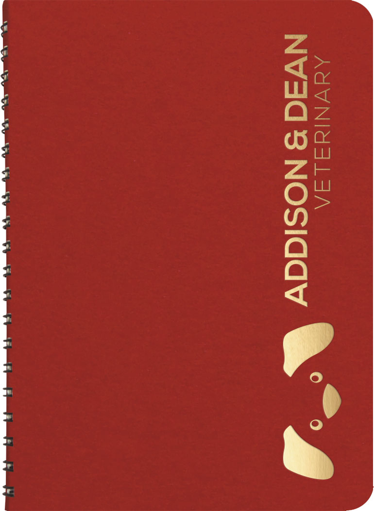 Medium FlexNotes Classic Notebook (5"x7") 1