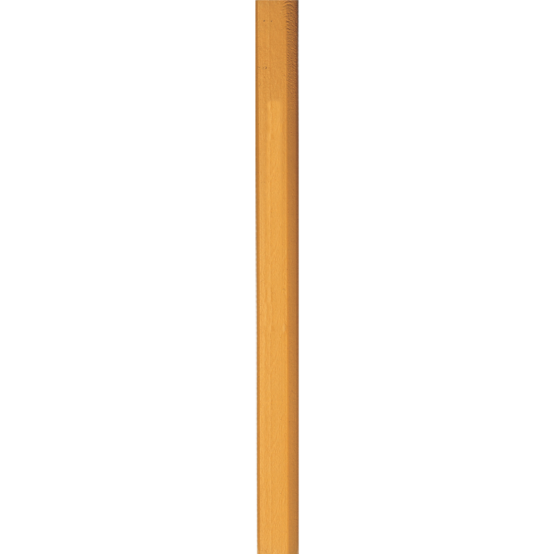 Carpenter Pencil 1