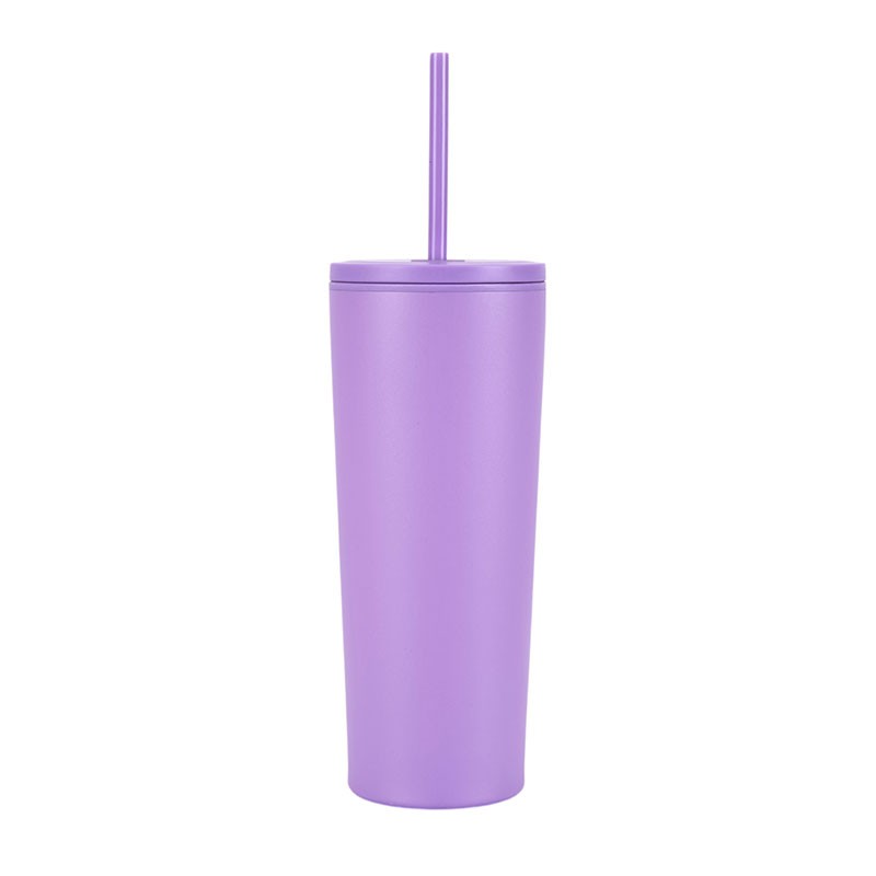 Bayard 24 oz. Double Wall Steel/PP Liner Straw Tumbler 1
