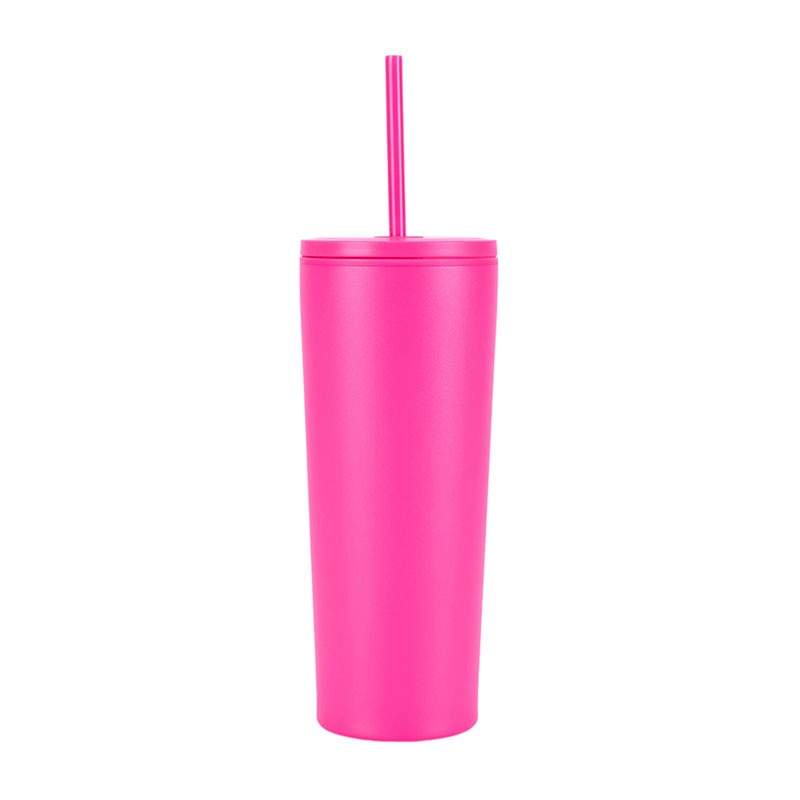 Bayard 24 oz. Double Wall Steel/PP Liner Straw Tumbler 1