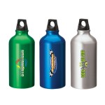 Sonia 16.9 oz. Flask with Twist Top 1 Sonia 16.9 oz. Flask with Twist Top 1