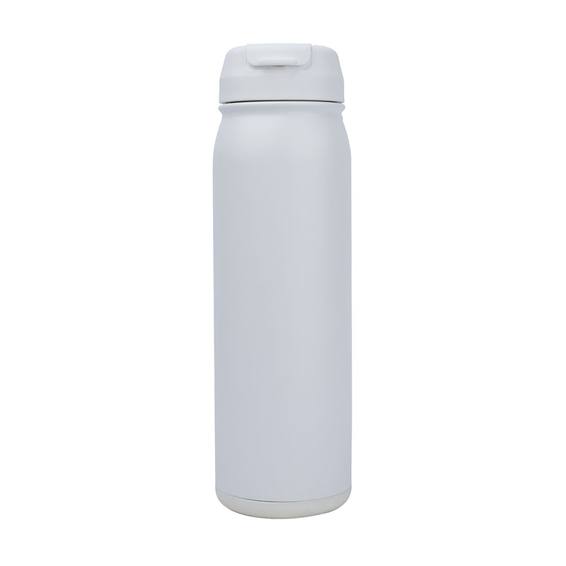 Dylan 24 oz. Double Wall, Stainless Steel Water Bottle 1