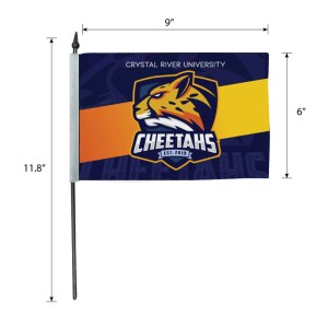 DisplaySplash 9" x 6" Hand Flag 1 DisplaySplash 9" x 6" Hand Flag 1